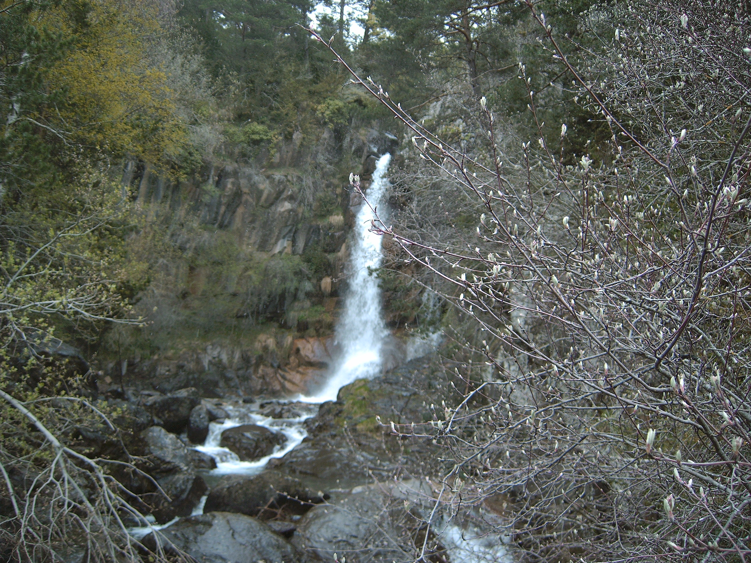 Queda bien el efecto de desenfoque de la cascada con el arbusto en primer plano.